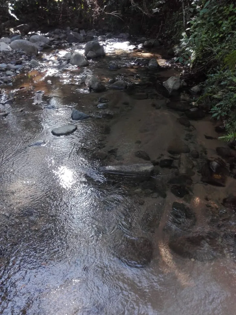 Terreno en venta en Llano de Piedra, comunidad de Bombachito, Provincia de Los Santos. 93.90 Acres (38 HA).