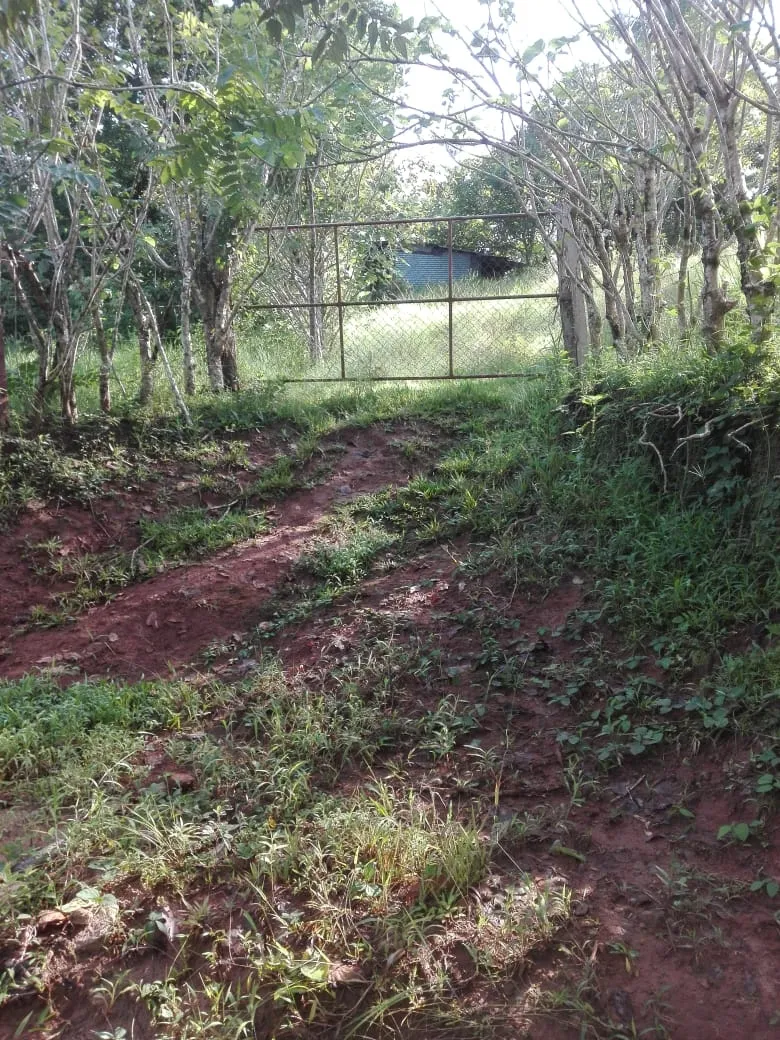 Terreno en venta en Llano de Piedra, comunidad de Bombachito, Provincia de Los Santos. 93.90 Acres (38 HA).