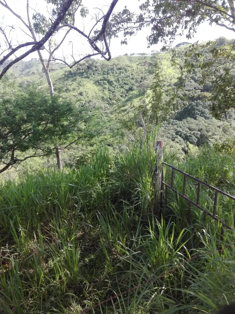 Terreno/Granja en Venta en Los Santos