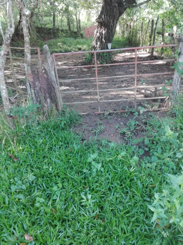 Terreno/Granja en Venta en Los Santos