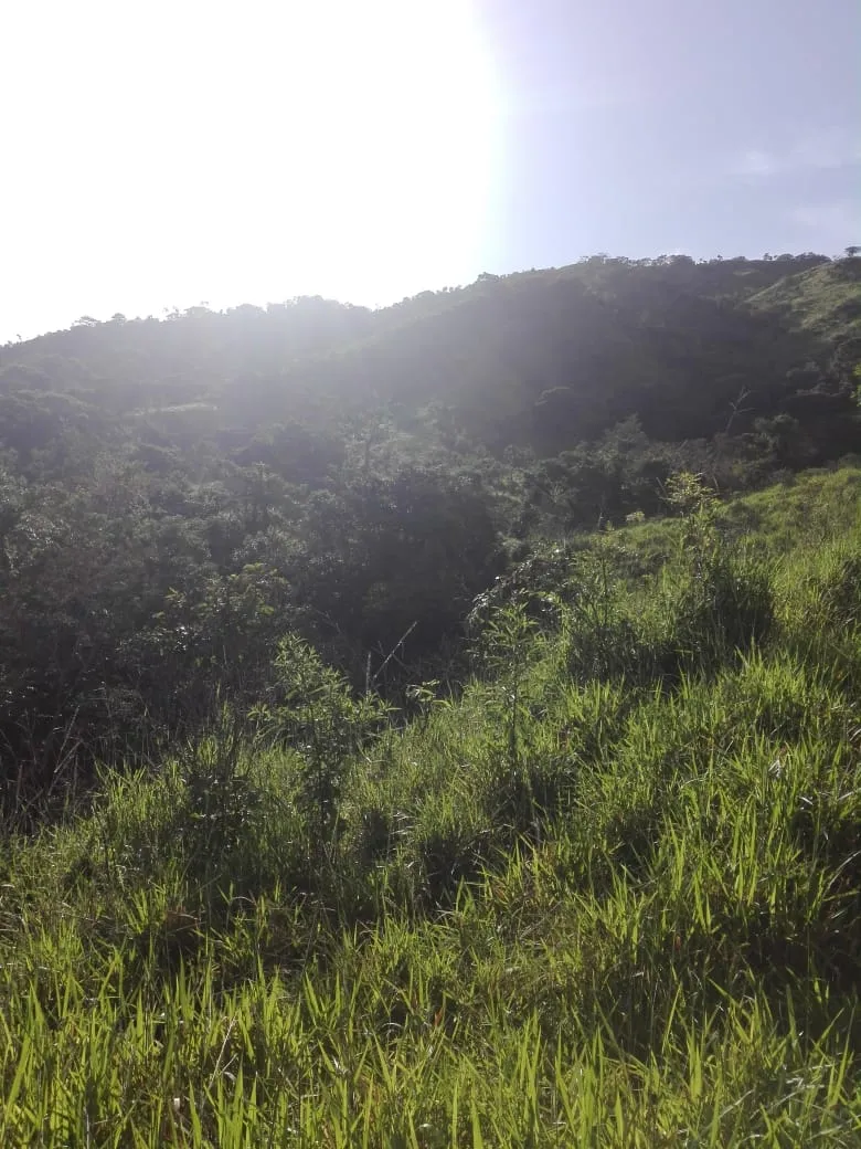 Terreno/Granja en Venta en Los Santos
