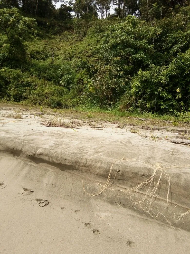 TERRENO FRENTE AL MAR EN VENTA, EN LA REGIÓN DE CALOVEBORA, VERAGUAS.