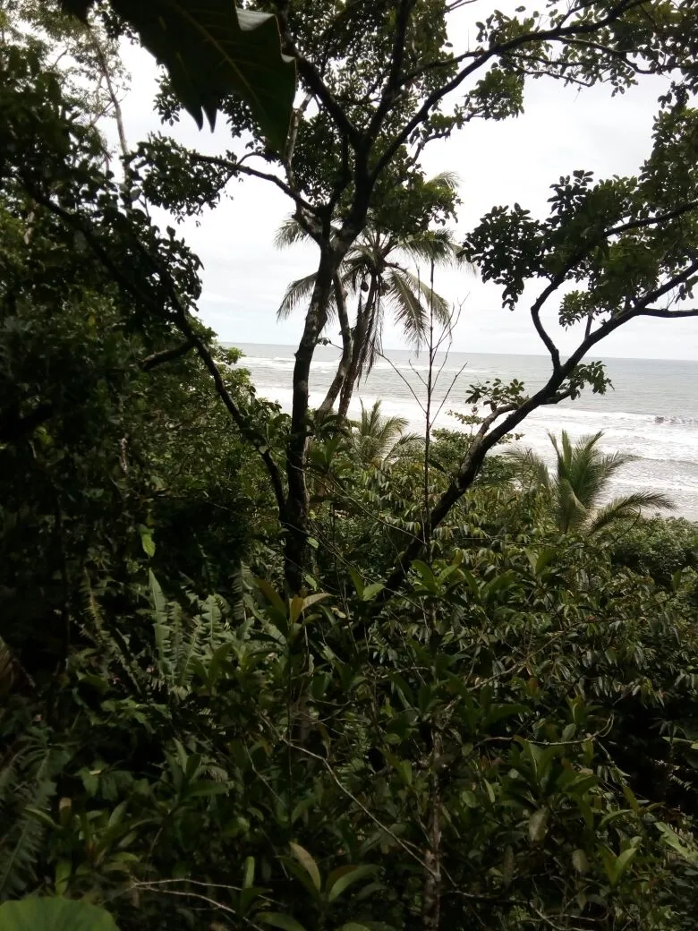 TERRENO FRENTE AL MAR EN VENTA, EN LA REGIÓN DE CALOVEBORA, VERAGUAS.