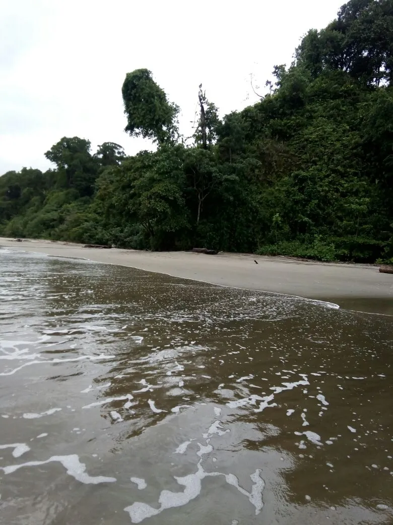 TERRENO FRENTE AL MAR EN VENTA, EN LA REGIÓN DE CALOVEBORA, VERAGUAS.