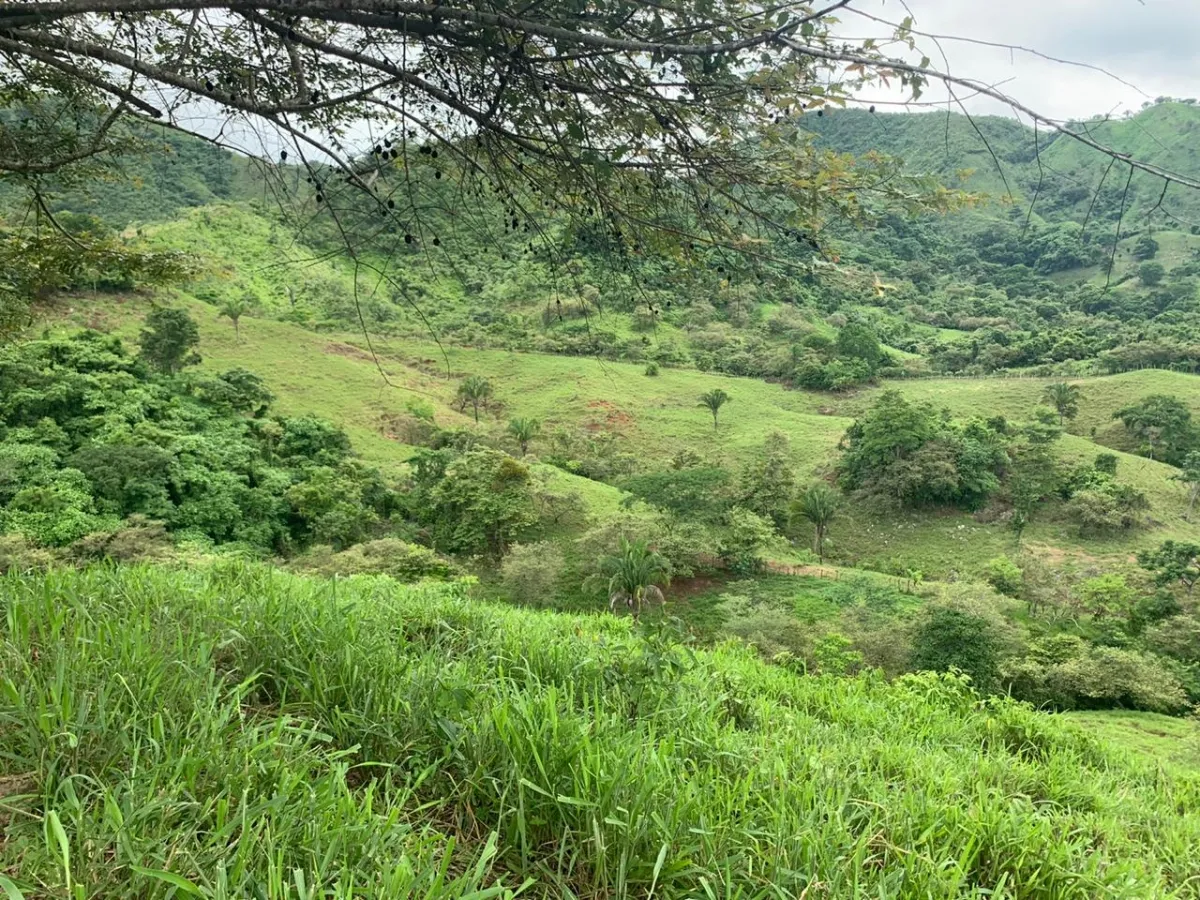 PROPIEDAD EN VENTA EN CHORRILLOS, REGION DE QUEBRADA GRANDE, VERAGUAS....