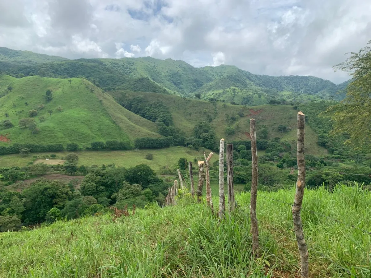PROPIEDAD EN VENTA EN CHORRILLOS, REGION DE QUEBRADA GRANDE, VERAGUAS. 23 HECTÁREAS (56,83 ACRES).