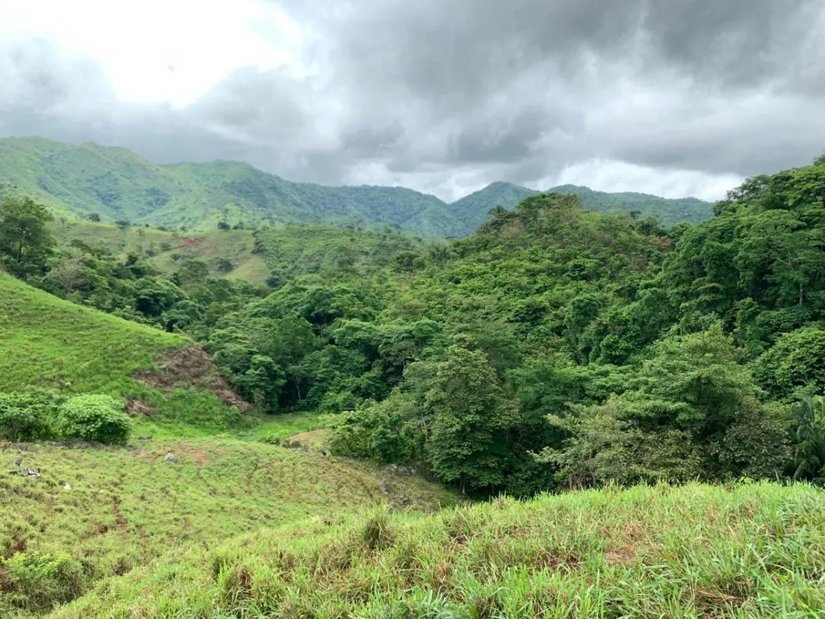 PROPIEDAD EN VENTA EN CHORRILLOS, REGION DE QUEBRADA GRANDE, VERAGUAS. 23 HECTÁREAS (56,83 ACRES).