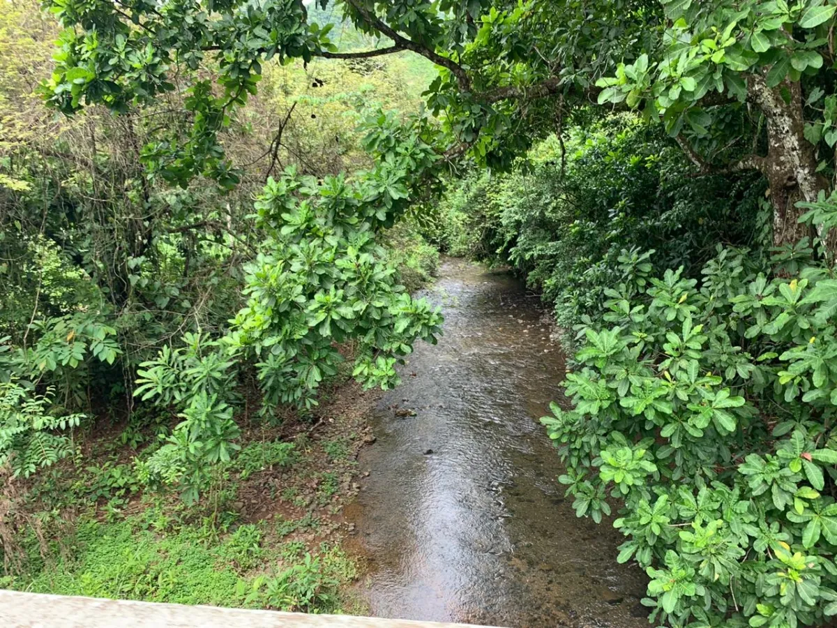 PROPIEDAD EN VENTA EN CHORRILLOS, REGION DE QUEBRADA GRANDE, VERAGUAS. 23 HECTÁREAS (56,83 ACRES).