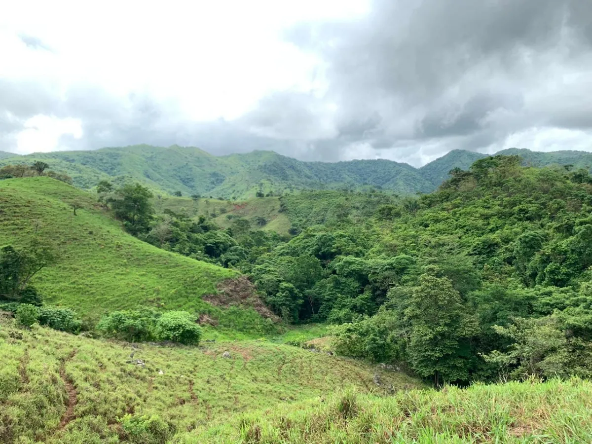PROPIEDAD EN VENTA EN CHORRILLOS, REGION DE QUEBRADA GRANDE, VERAGUAS. 23 HECTÁREAS (56,83 ACRES).