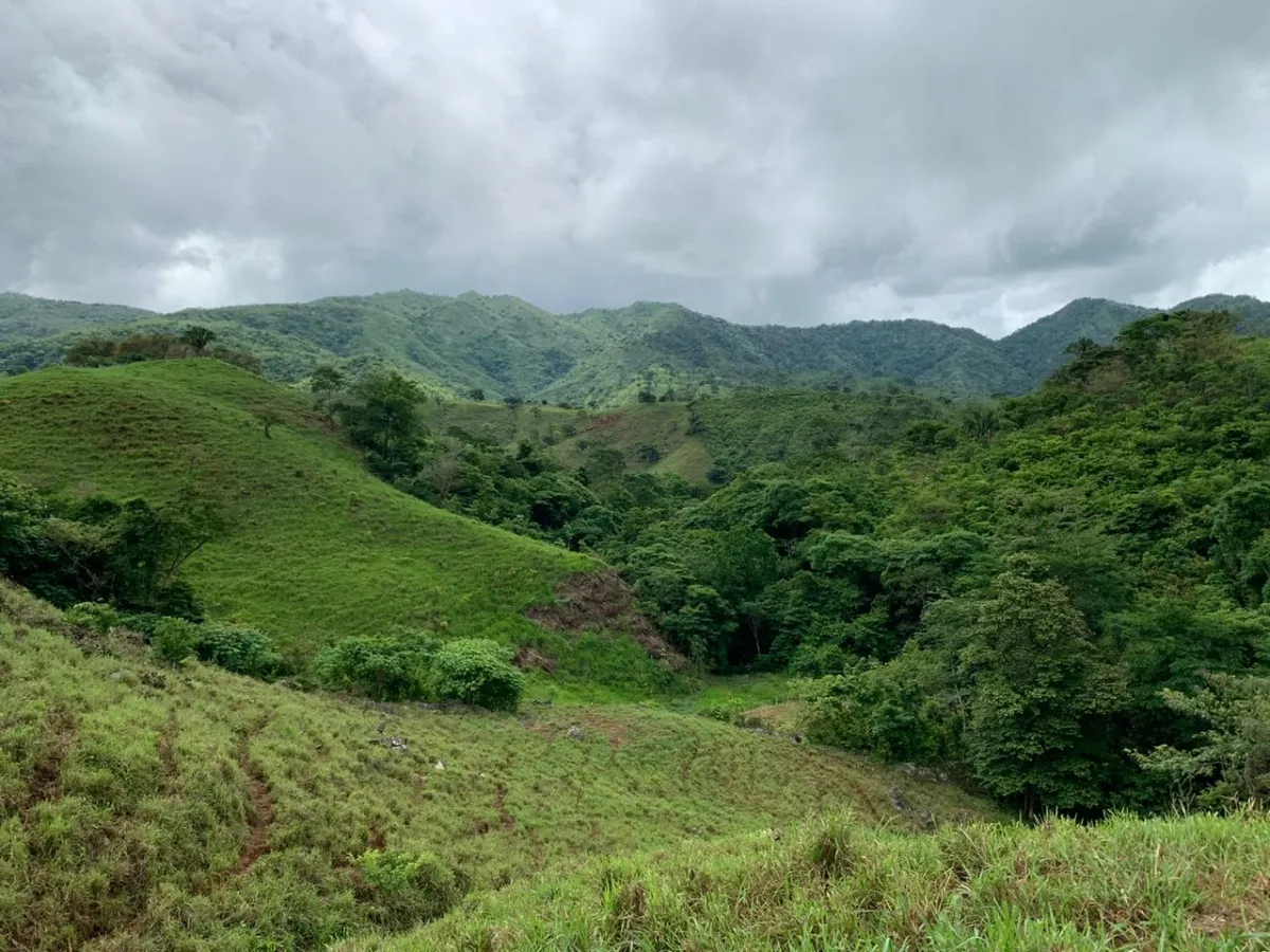 PROPIEDAD EN VENTA EN CHORRILLOS, REGION DE QUEBRADA GRANDE, VERAGUAS. 23 HECTÁREAS (56,83 ACRES).