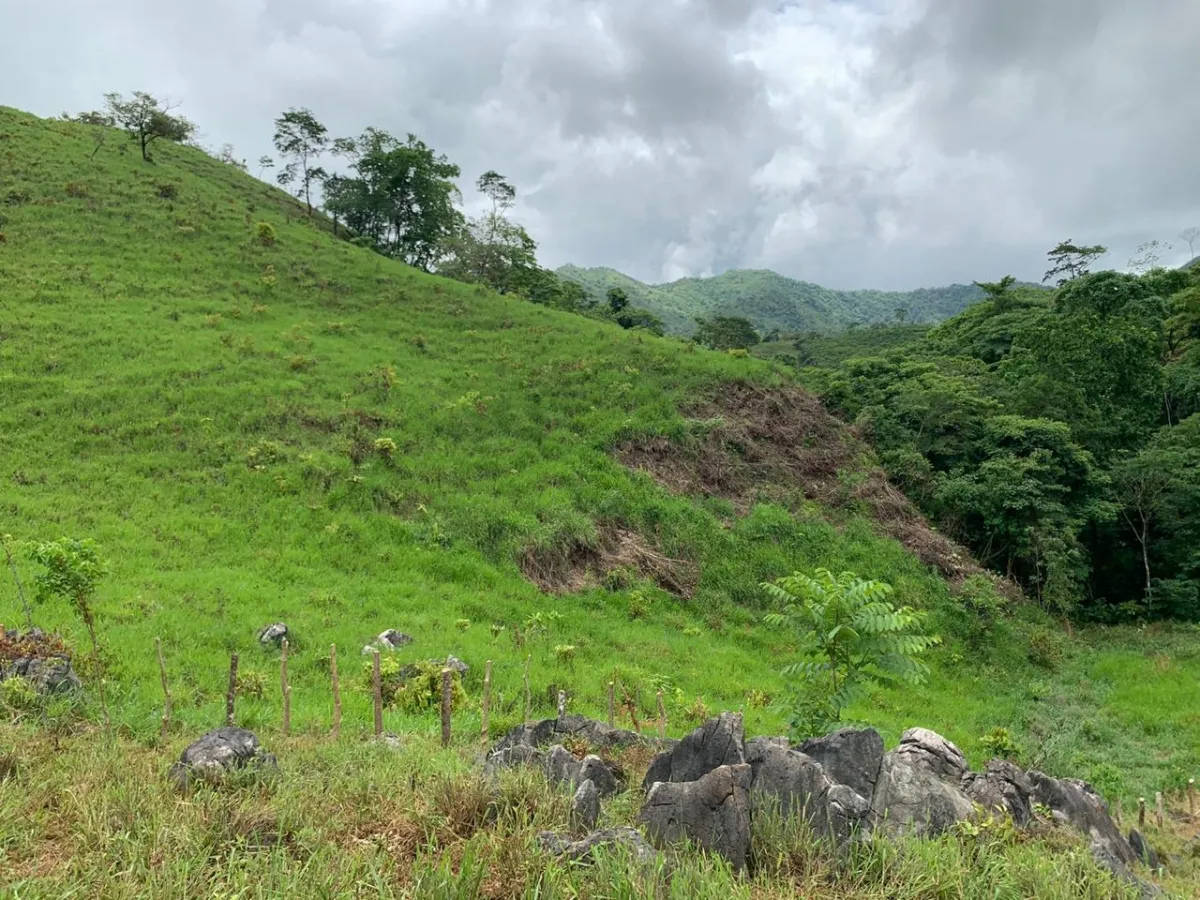 PROPIEDAD EN VENTA EN CHORRILLOS, REGION DE QUEBRADA GRANDE, VERAGUAS. 23 HECTÁREAS (56,83 ACRES).