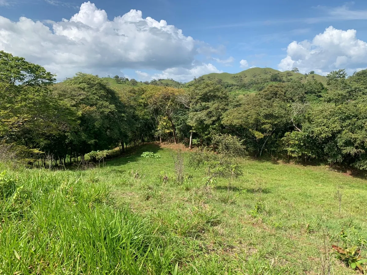 FINCA DE 89 HECTAREAS EN VENTA, VERAGUAS, PUEBLO DE HICACO, AL LADO DE...
