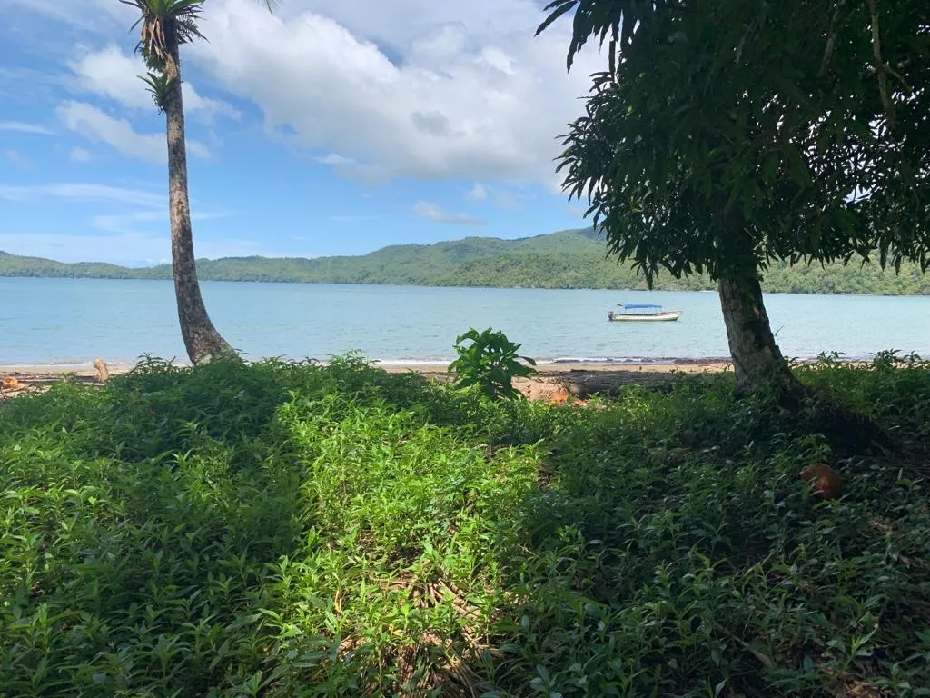 INCREÍBLE PROPIEDAD FRENTE AL MAR EN VENTA, 14 HECTÁREAS (34.59 ACRES)...