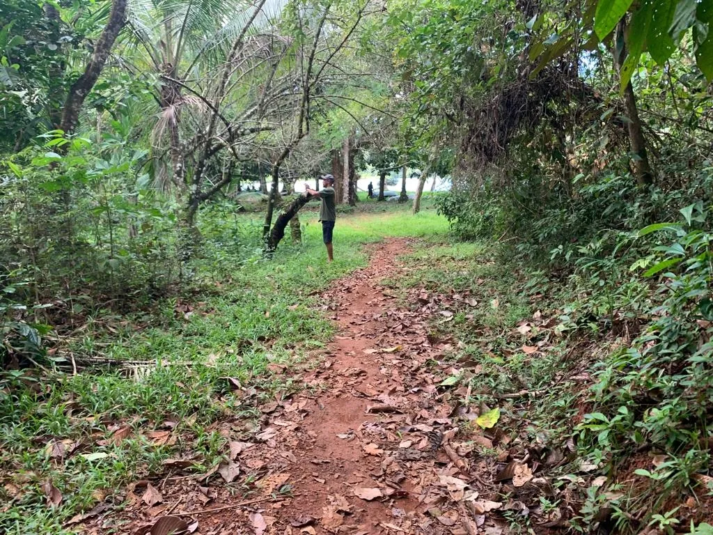 INCREÍBLE PROPIEDAD FRENTE AL MAR EN VENTA, 14 HECTÁREAS (34.59 ACRES); EN PLAYA ROSARIO, PIXVAE.
