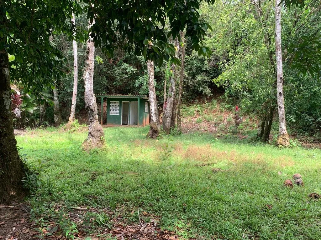 INCREÍBLE PROPIEDAD FRENTE AL MAR EN VENTA, 14 HECTÁREAS (34.59 ACRES); EN PLAYA ROSARIO, PIXVAE.