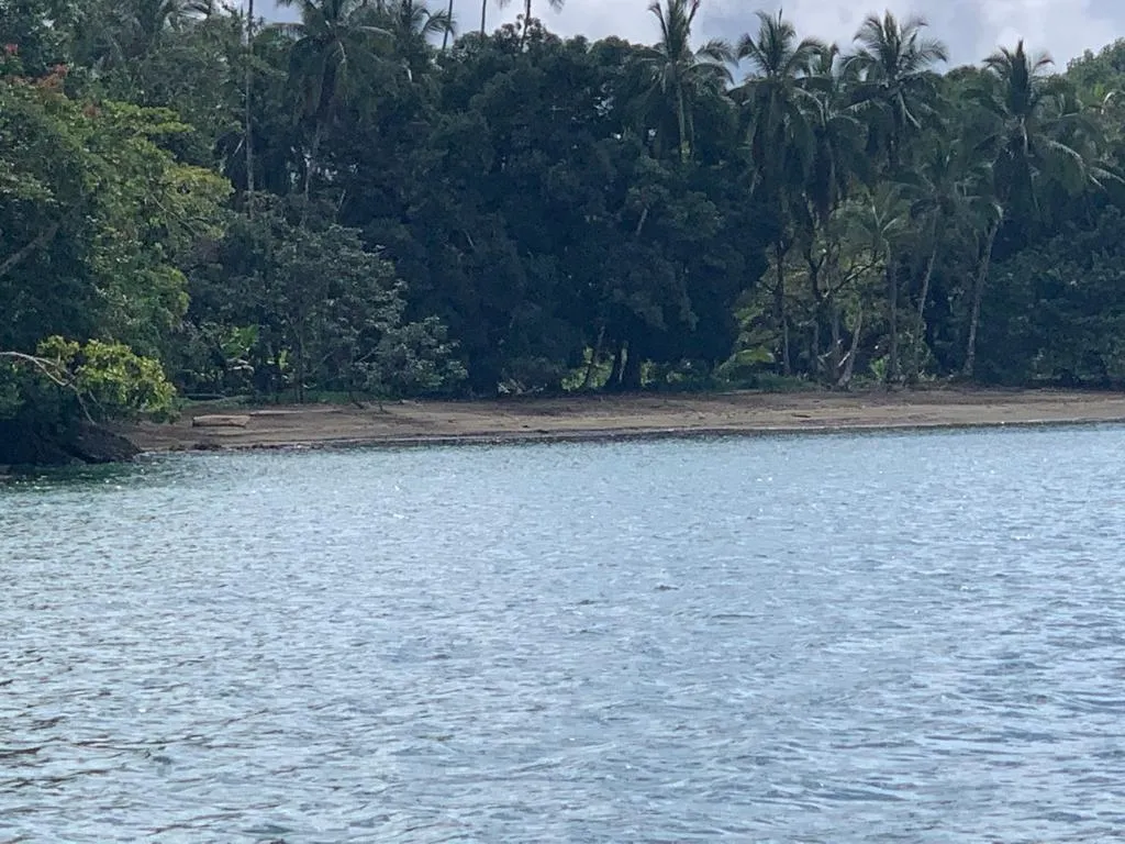 INCREÍBLE PROPIEDAD FRENTE AL MAR EN VENTA, 14 HECTÁREAS (34.59 ACRES); EN PLAYA ROSARIO, PIXVAE.