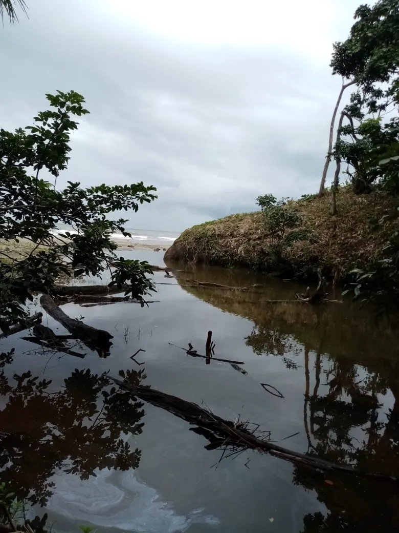 SE VENDE PROPIEDAD FRENTE AL MAR, UBICADA EN LA PLAYA EL BARCO BEJUCO, CALOVEBORA, DISTRITO DE SANTA FÉ 42 HA (103.78 ACRES).
