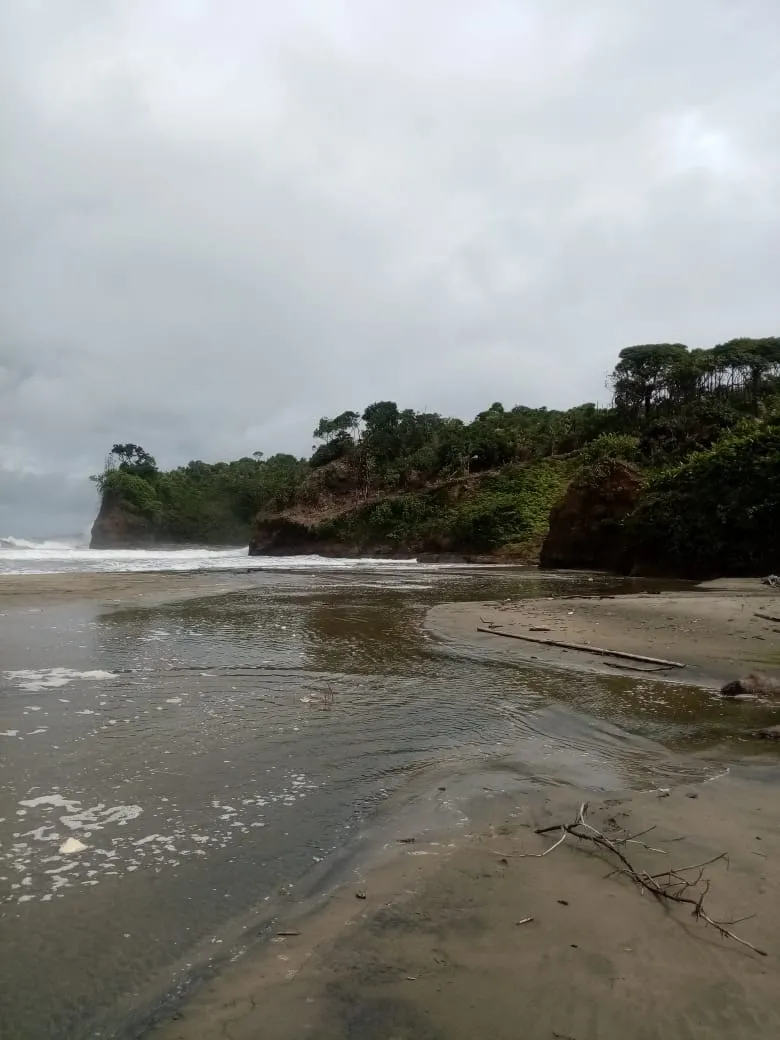 SE VENDE PROPIEDAD FRENTE AL MAR, UBICADA EN LA PLAYA EL BARCO BEJUCO, CALOVEBORA, DISTRITO DE SANTA FÉ 42 HA (103.78 ACRES).