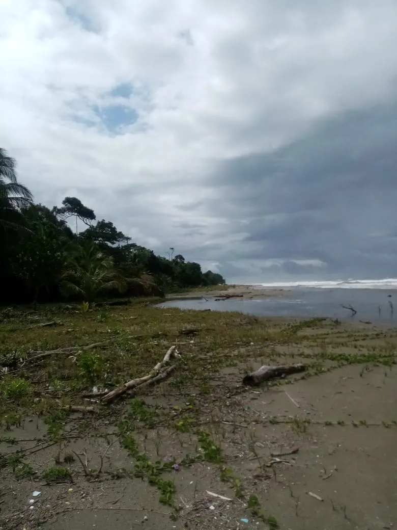 SE VENDE PROPIEDAD FRENTE AL MAR, UBICADA EN LA PLAYA EL BARCO BEJUCO, CALOVEBORA, DISTRITO DE SANTA FÉ 42 HA (103.78 ACRES).