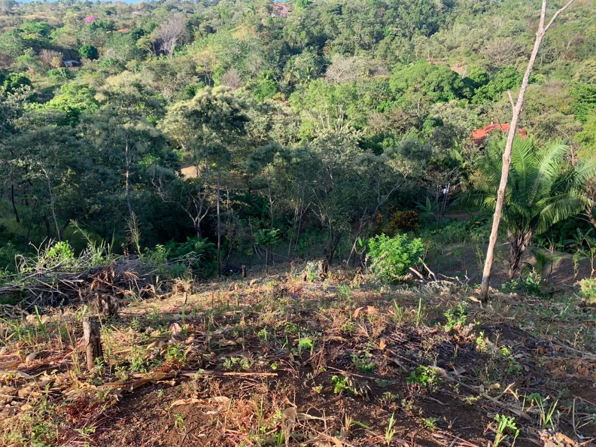 PROPIEDAD EN VENTA EN SANTA CATALINA, VERAGUAS (LA PROPIEDAD MIDE 2400...