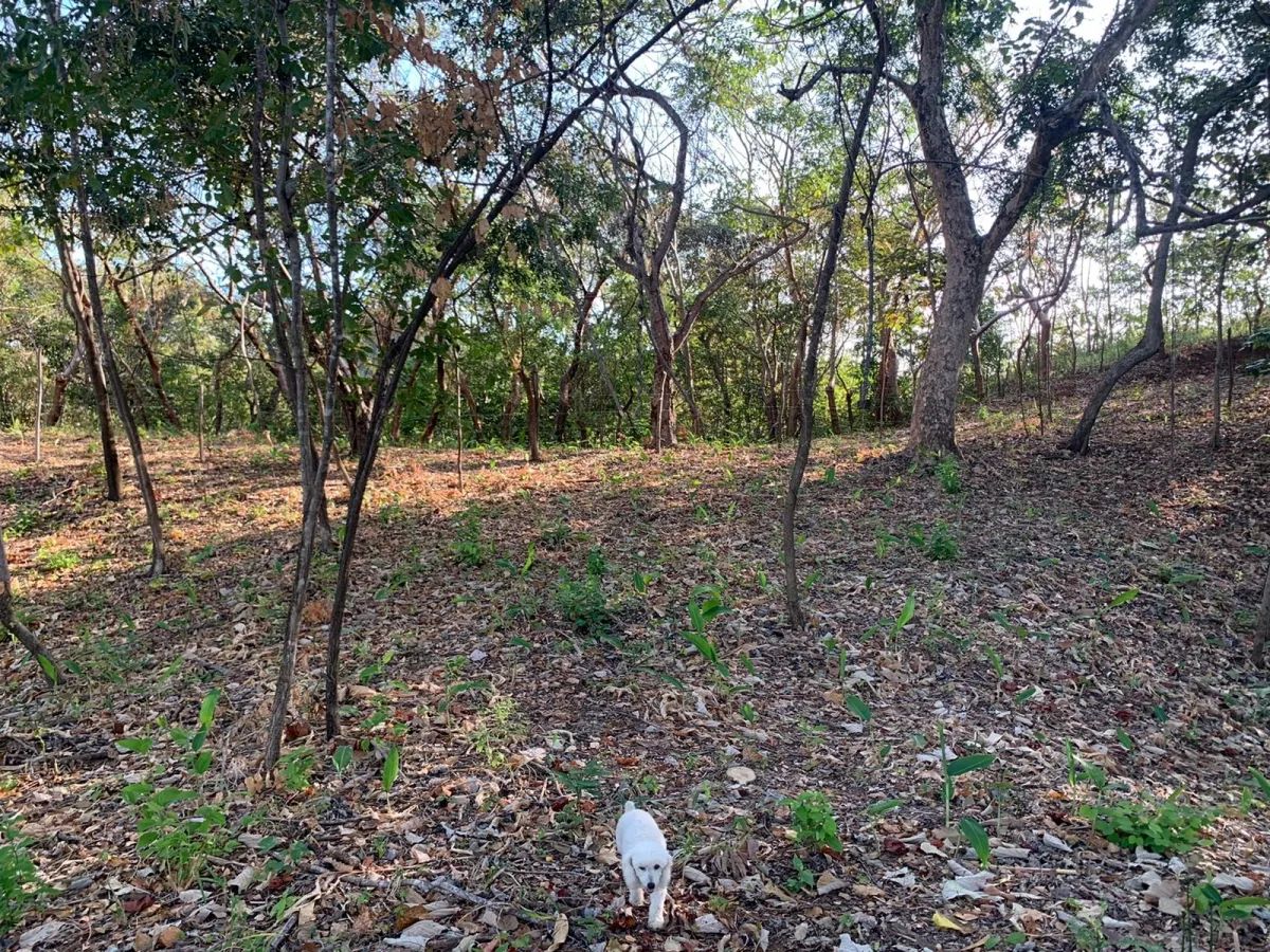 Terreno/Granja en Venta en Santa Catalina