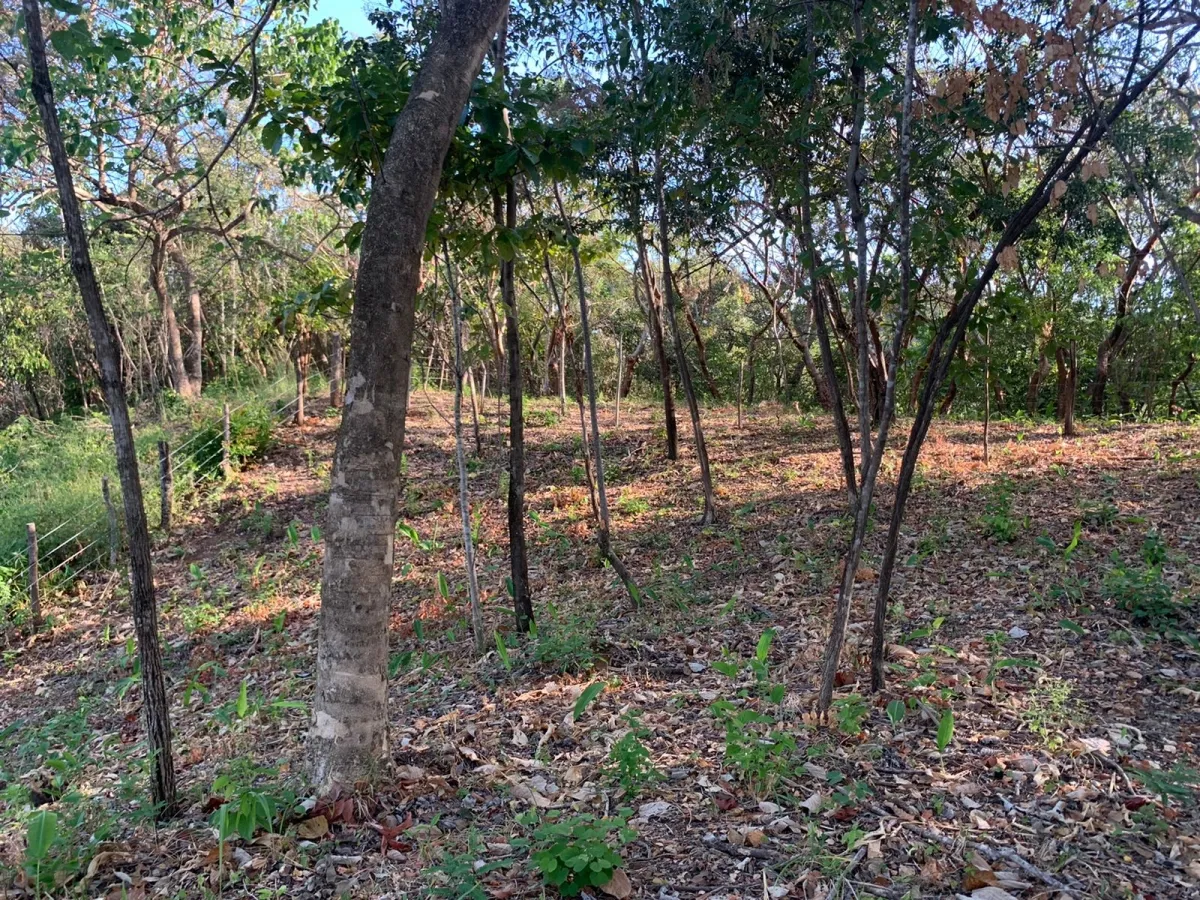 Terreno/Granja en Venta en Santa Catalina