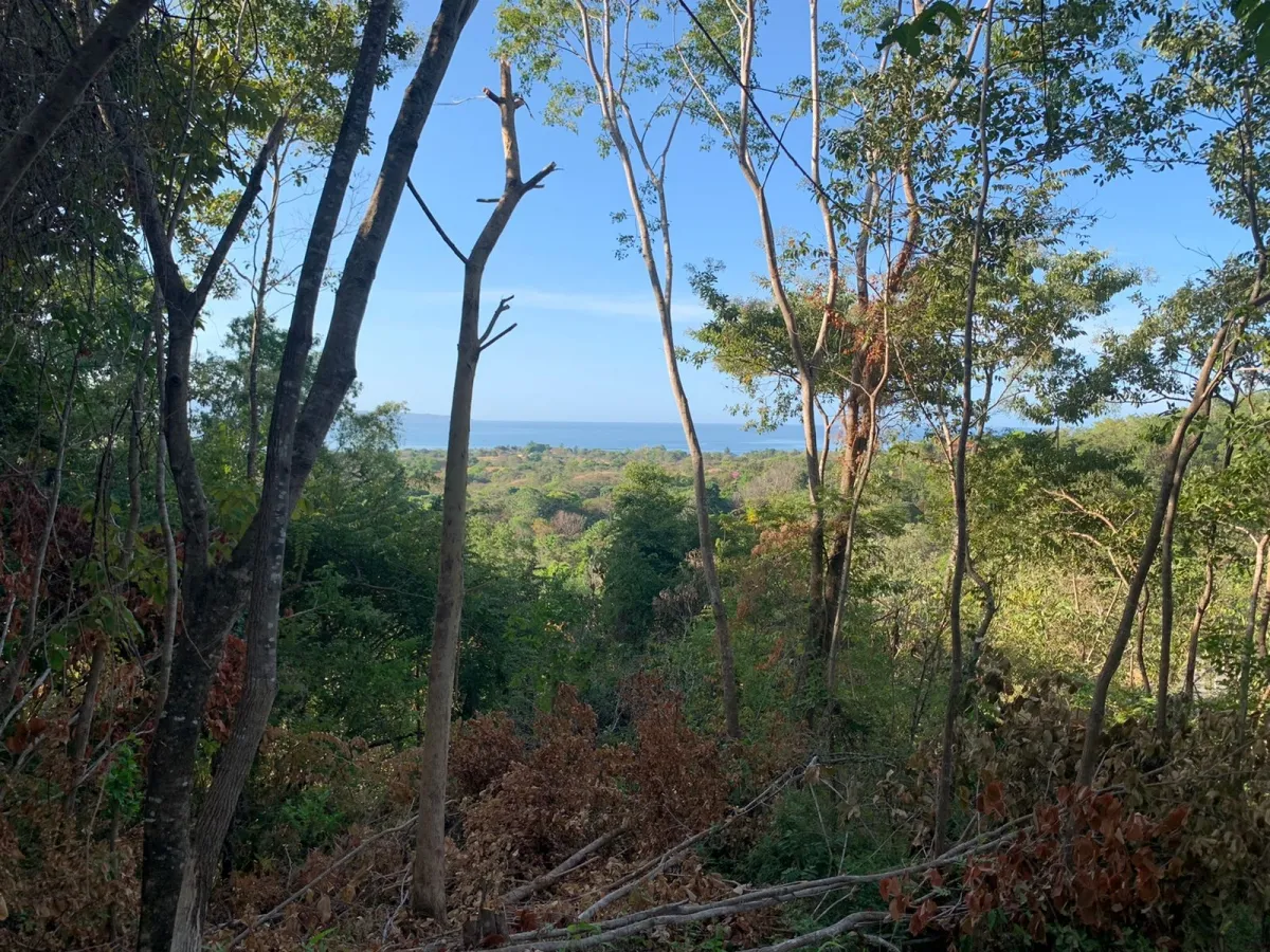 Terreno/Granja en Venta en Santa Catalina