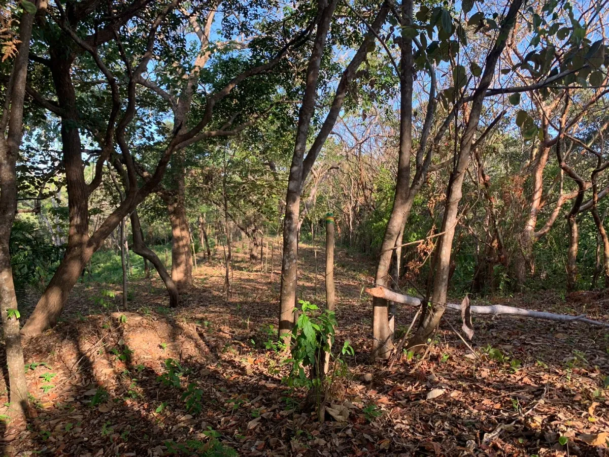 Terreno/Granja en Venta en Santa Catalina