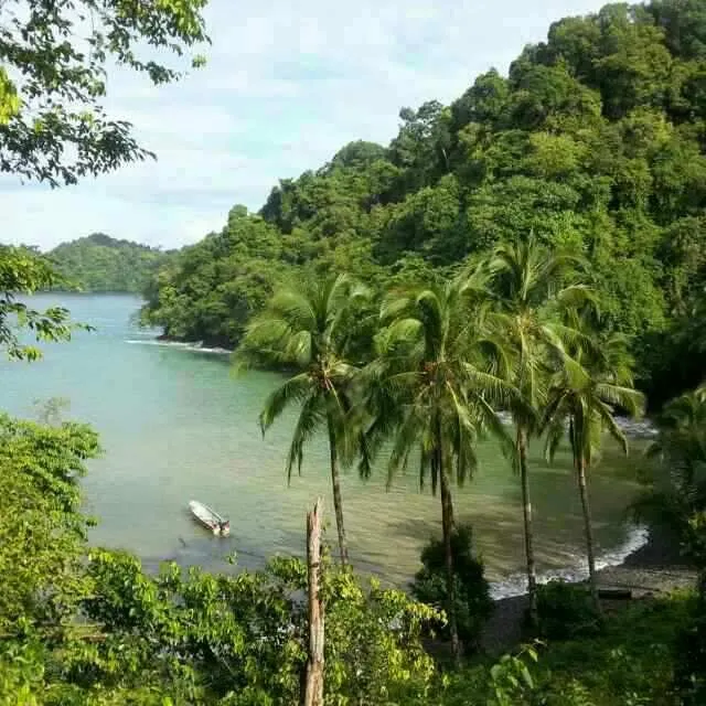 PROPIEDAD EN VENTA EN PLAYA NARANJITO 14.5 HECTÁREAS (35.83 ACRES), PU...