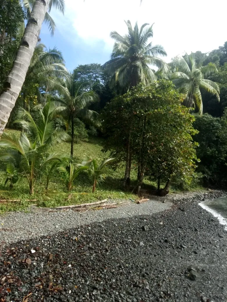 PROPIEDAD EN VENTA EN PLAYA NARANJITO 14.5 HECTÁREAS (35.83 ACRES), PUERTO ESCONDIDO; CERCA DE LA PLAYA ARRIMADERO, SONÁ.