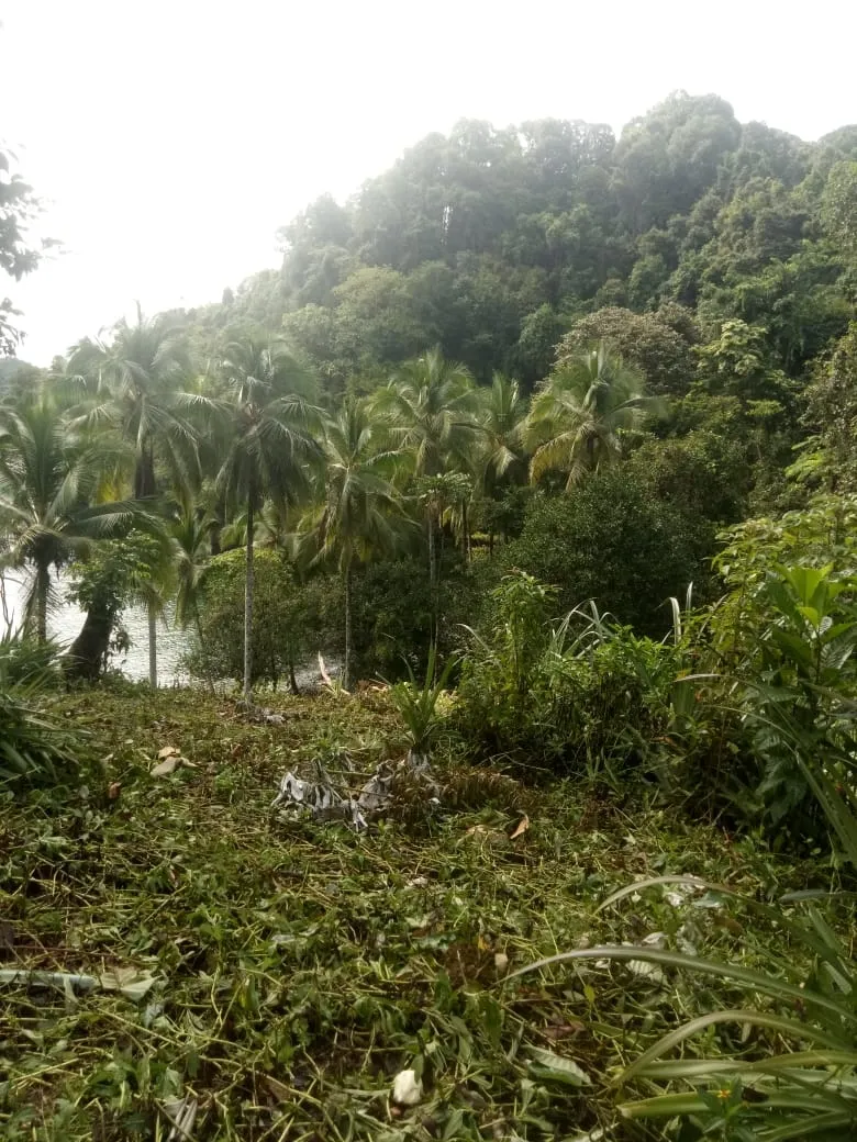 PROPIEDAD EN VENTA EN PLAYA NARANJITO 14.5 HECTÁREAS (35.83 ACRES), PUERTO ESCONDIDO; CERCA DE LA PLAYA ARRIMADERO, SONÁ.