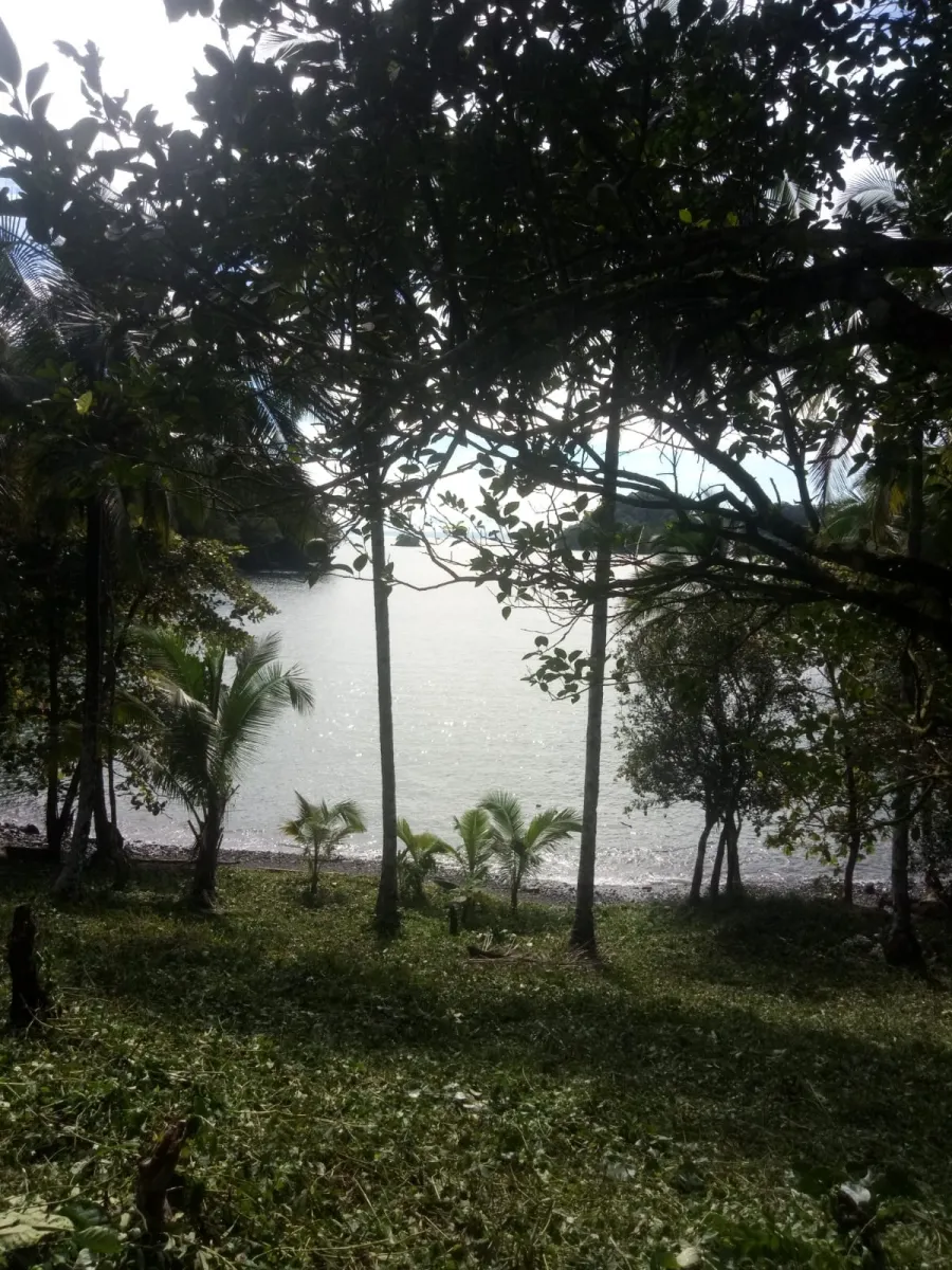 PROPIEDAD EN VENTA EN PLAYA NARANJITO 14.5 HECTÁREAS (35.83 ACRES), PUERTO ESCONDIDO; CERCA DE LA PLAYA ARRIMADERO, SONÁ.