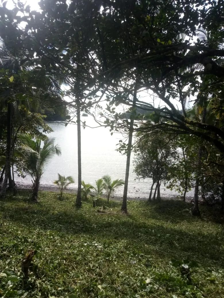 PROPIEDAD EN VENTA EN PLAYA NARANJITO 14.5 HECTÁREAS (35.83 ACRES), PUERTO ESCONDIDO; CERCA DE LA PLAYA ARRIMADERO, SONÁ.