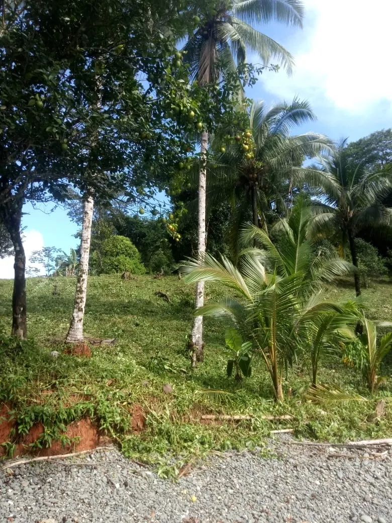 PROPIEDAD EN VENTA EN PLAYA NARANJITO 14.5 HECTÁREAS (35.83 ACRES), PUERTO ESCONDIDO; CERCA DE LA PLAYA ARRIMADERO, SONÁ.