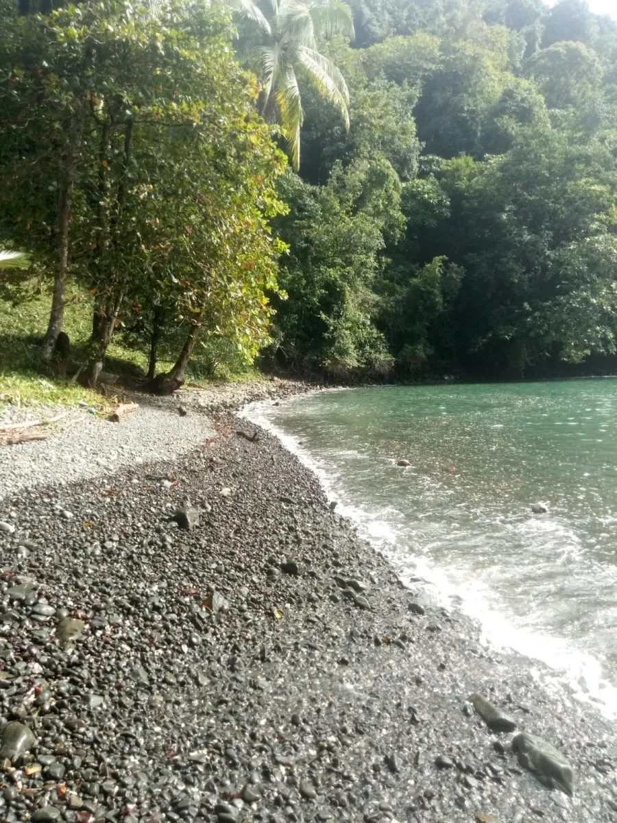 PROPIEDAD EN VENTA EN PLAYA NARANJITO 14.5 HECTÁREAS (35.83 ACRES), PUERTO ESCONDIDO; CERCA DE LA PLAYA ARRIMADERO, SONÁ.