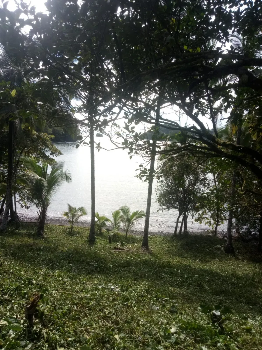 PROPIEDAD EN VENTA EN PLAYA NARANJITO 14.5 HECTÁREAS (35.83 ACRES), PUERTO ESCONDIDO; CERCA DE LA PLAYA ARRIMADERO, SONÁ.