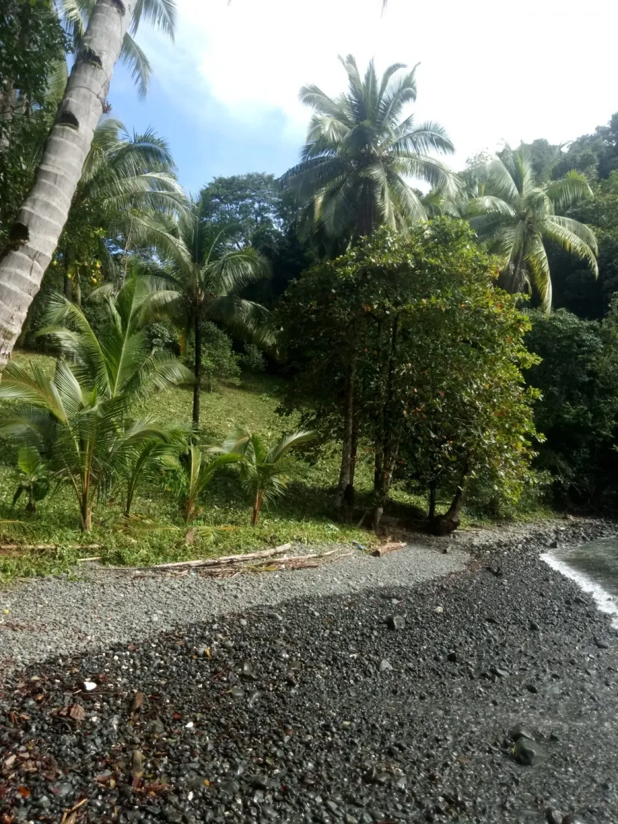 PROPIEDAD EN VENTA EN PLAYA NARANJITO 14.5 HECTÁREAS (35.83 ACRES), PUERTO ESCONDIDO; CERCA DE LA PLAYA ARRIMADERO, SONÁ.