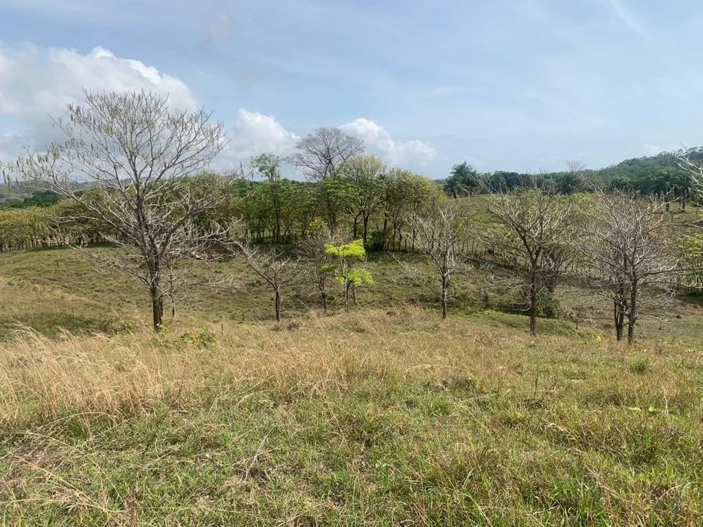 INCREIBLE PROPIEDAD DE 3 HECTAREAS (7.41 ACRES) FRENTE AL MAR EN VENTA, EN SANTA CATALINA, VERAGUAS.