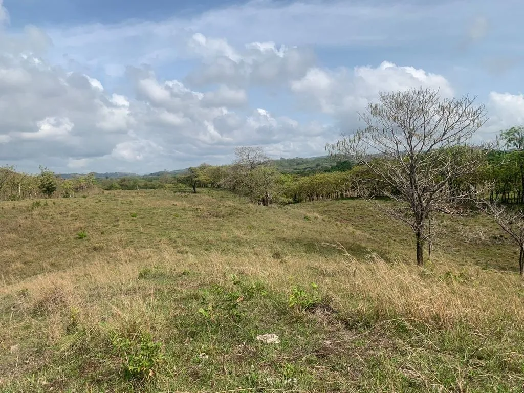 INCREIBLE PROPIEDAD DE 3 HECTAREAS (7.41 ACRES) FRENTE AL MAR EN VENTA, EN SANTA CATALINA, VERAGUAS.