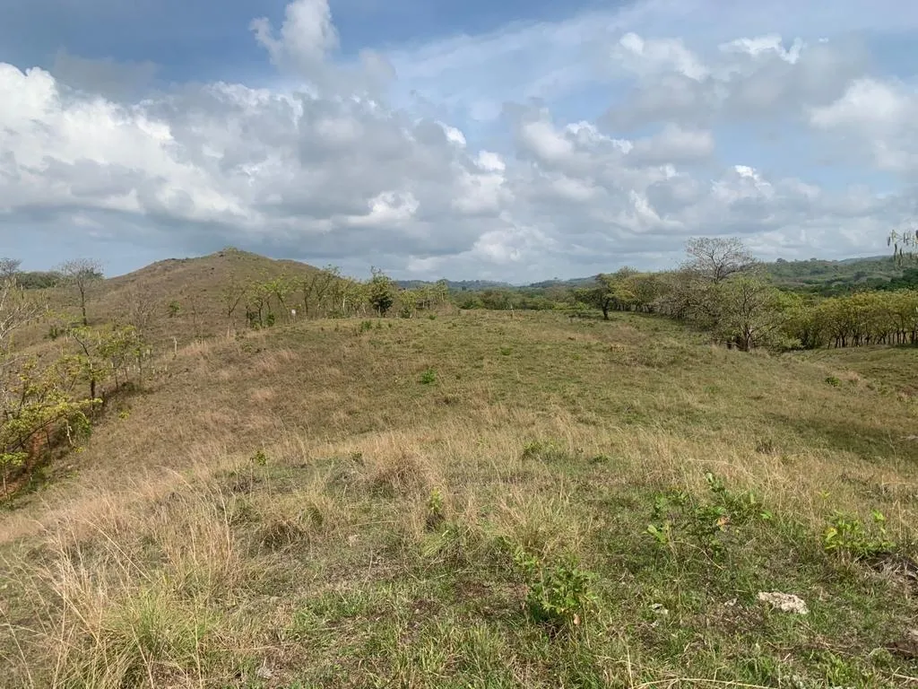 INCREIBLE PROPIEDAD DE 3 HECTAREAS (7.41 ACRES) FRENTE AL MAR EN VENTA, EN SANTA CATALINA, VERAGUAS.