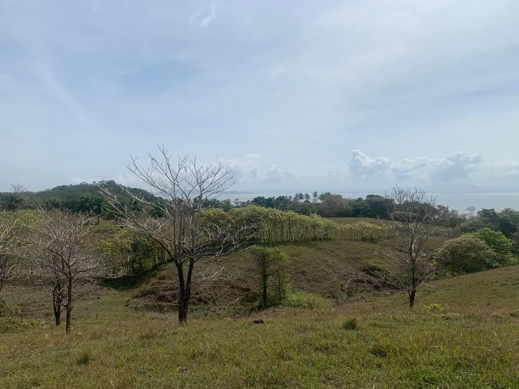 INCREIBLE PROPIEDAD DE 3 HECTAREAS (7.41 ACRES) FRENTE AL MAR EN VENTA, EN SANTA CATALINA, VERAGUAS.