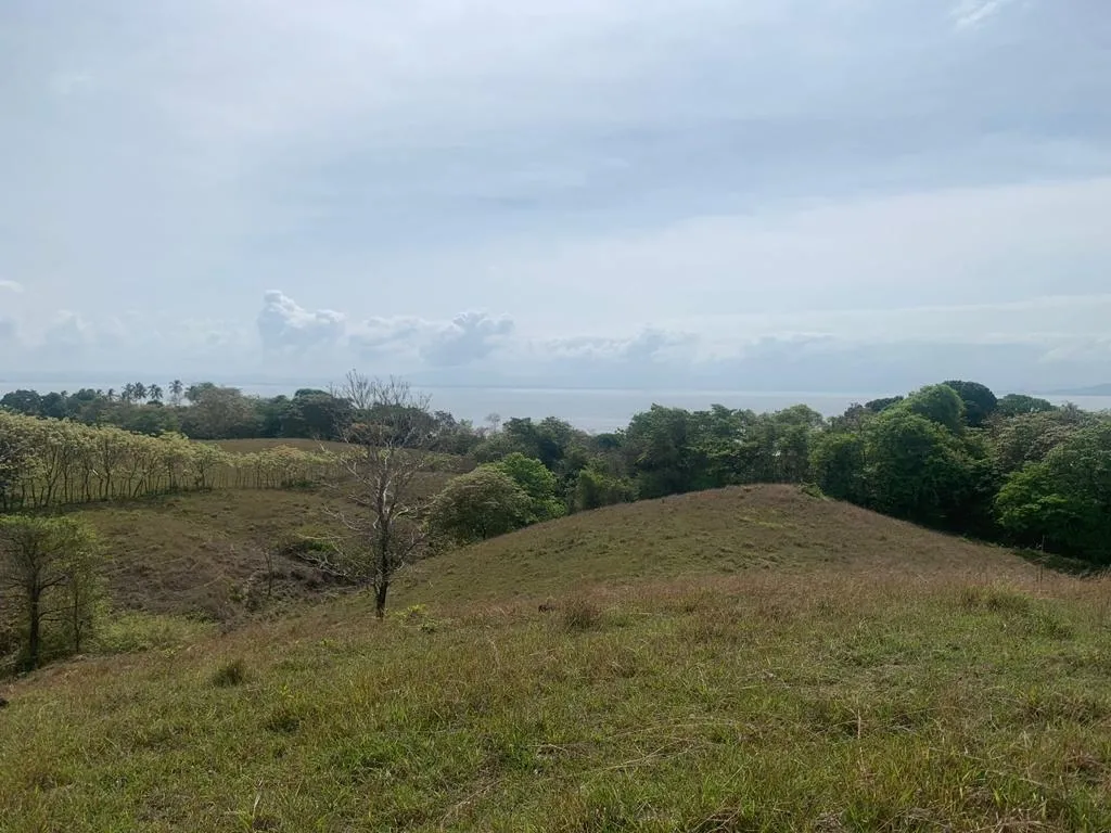 INCREIBLE PROPIEDAD DE 3 HECTAREAS (7.41 ACRES) FRENTE AL MAR EN VENTA, EN SANTA CATALINA, VERAGUAS.