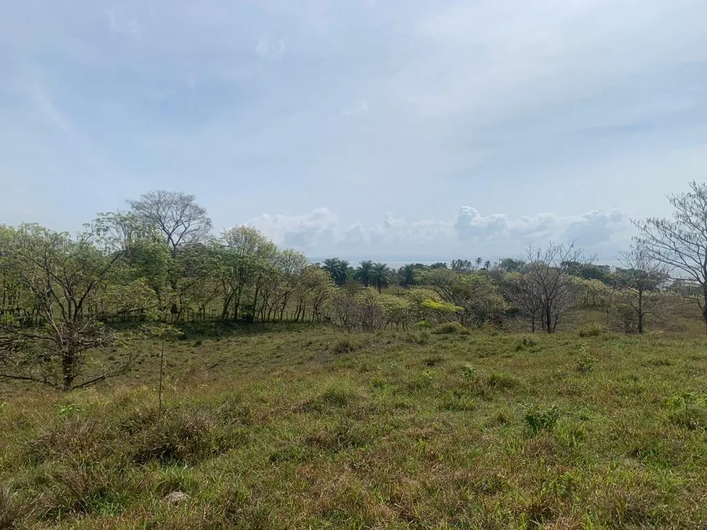 INCREIBLE PROPIEDAD DE 3 HECTAREAS (7.41 ACRES) FRENTE AL MAR EN VENTA, EN SANTA CATALINA, VERAGUAS.