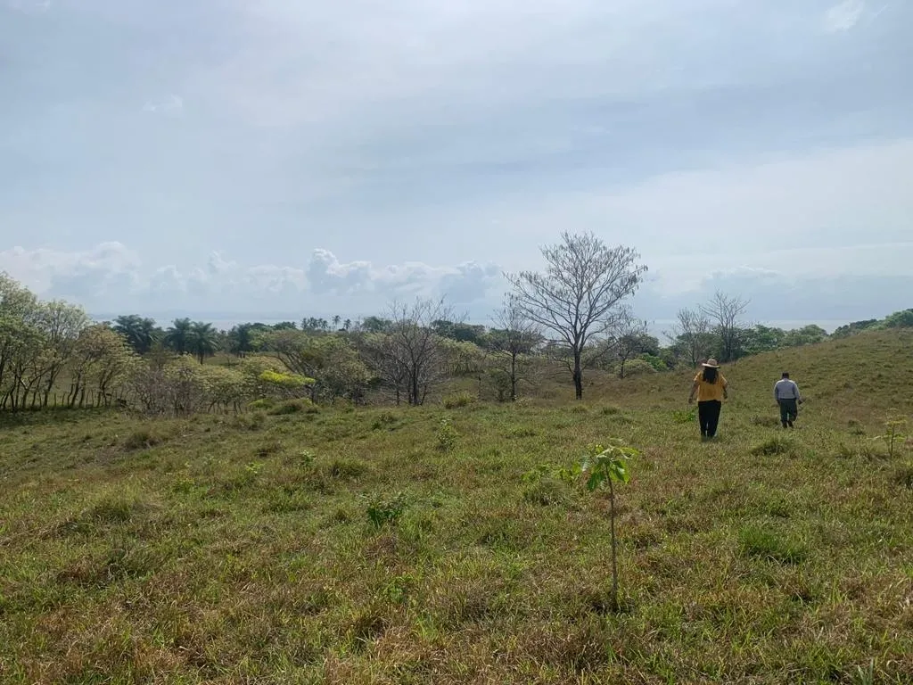 INCREIBLE PROPIEDAD DE 3 HECTAREAS (7.41 ACRES) FRENTE AL MAR EN VENTA, EN SANTA CATALINA, VERAGUAS.