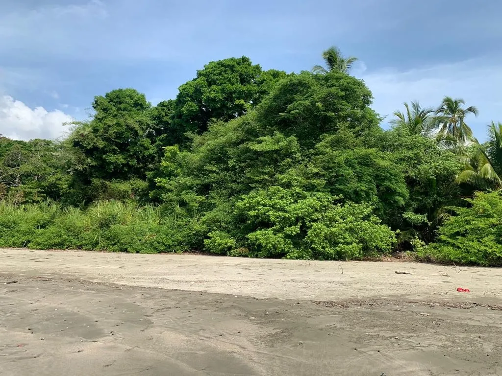 INCREIBLE PROPIEDAD DE 3 HECTAREAS (7.41 ACRES) FRENTE AL MAR EN VENTA, EN SANTA CATALINA, VERAGUAS.