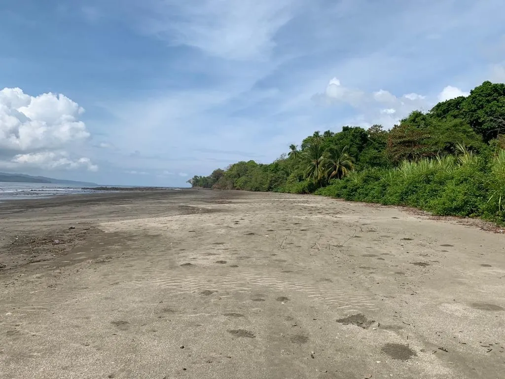 INCREIBLE PROPIEDAD DE 3 HECTAREAS (7.41 ACRES) FRENTE AL MAR EN VENTA, EN SANTA CATALINA, VERAGUAS.