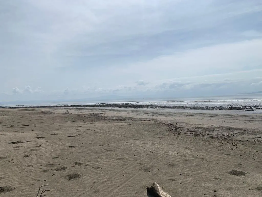 INCREIBLE PROPIEDAD DE 3 HECTAREAS (7.41 ACRES) FRENTE AL MAR EN VENTA, EN SANTA CATALINA, VERAGUAS.