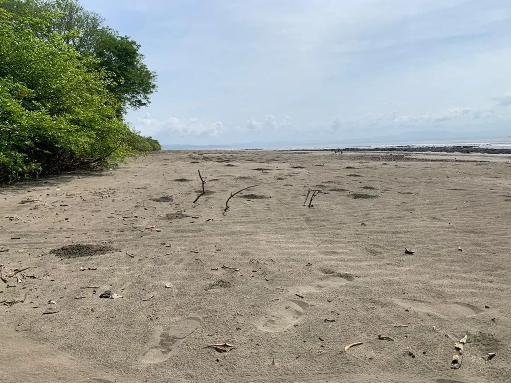 INCREIBLE PROPIEDAD DE 3 HECTAREAS (7.41 ACRES) FRENTE AL MAR EN VENTA, EN SANTA CATALINA, VERAGUAS.