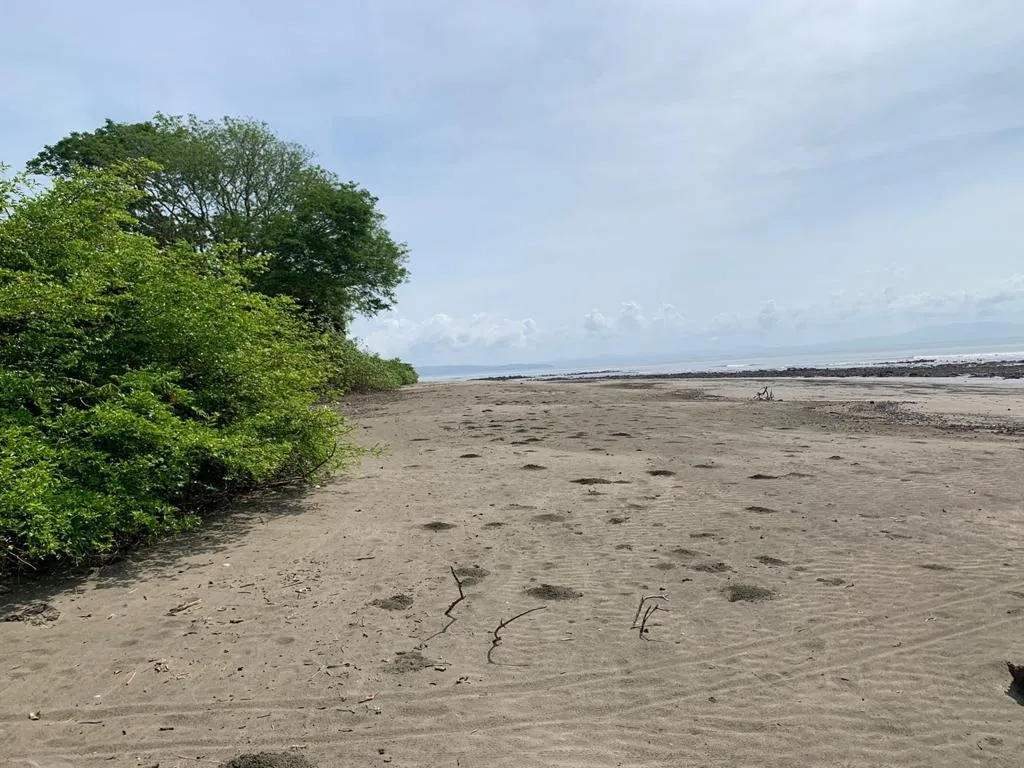 INCREIBLE PROPIEDAD DE 3 HECTAREAS (7.41 ACRES) FRENTE AL MAR EN VENTA, EN SANTA CATALINA, VERAGUAS.
