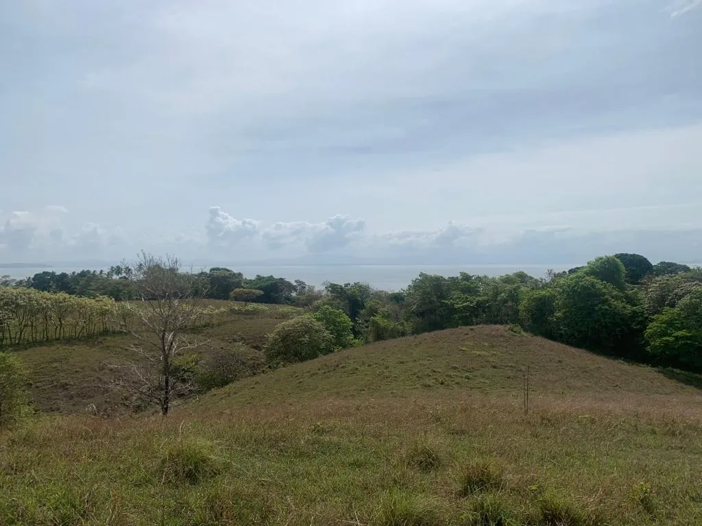 INCREIBLE PROPIEDAD DE 3 HECTAREAS (7.41 ACRES) FRENTE AL MAR EN VENTA, EN SANTA CATALINA, VERAGUAS.